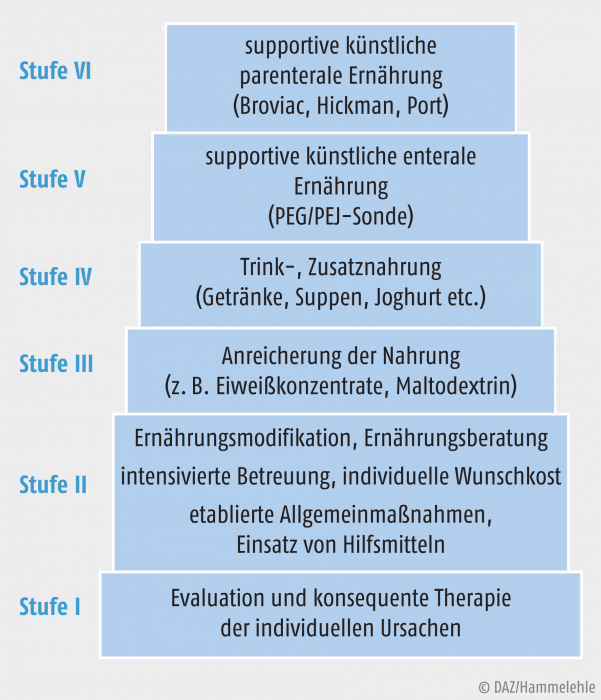 Was Kann Die Parenterale Ernährung?