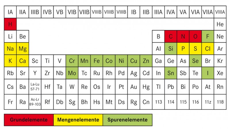 Mineralstoffe » Spurenelemente und Mengenelemente