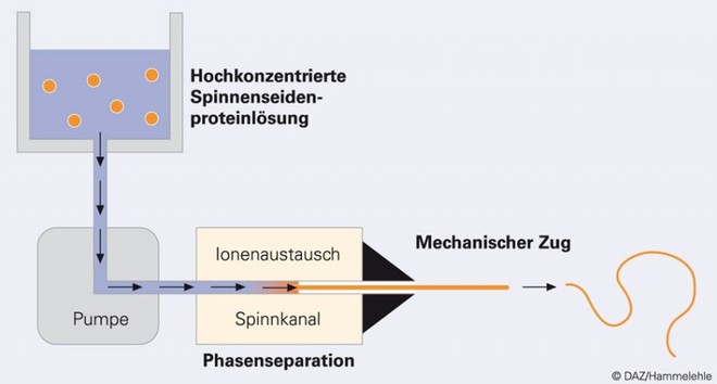 Abb2_Spinnenseide-800x429-660x354.jpg