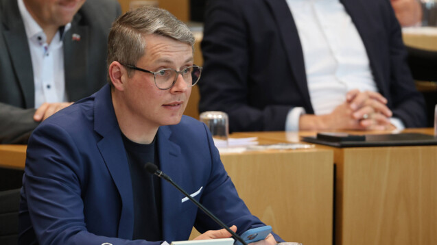 Robert-Martin Montag (FDP) will, dass Qualitätsstandards auch bei ausländischen Versendern eingehalten werden. (Foto: IMAGO / Karina Hessland)