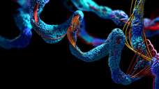 Die Mutation des HMGB1-Proteins stört nicht nur die Translation, sondern ändert auch physikalischen Eigenschaften des Proteins. (Bild: Christoph Burgstedt / AdobeStock)