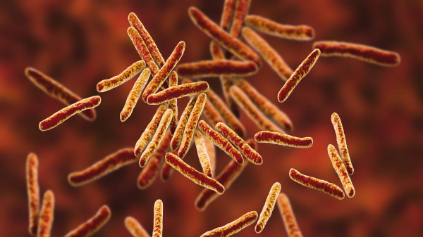 Resistente Tuberkuloseformen bereiten Sorgen