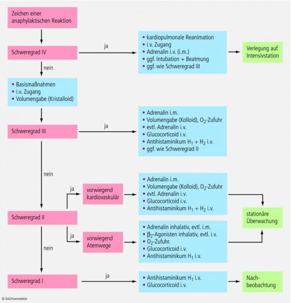 Notfall Anaphylaxie