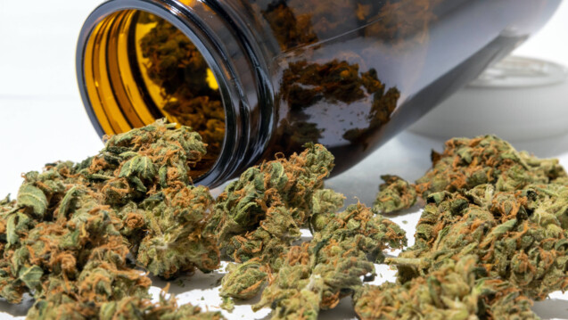 Medizinscher Cannabis aus der Apotheke wird seit dem 1. April verstärkt von Genusskonsument*innen nachgefragt. (Foto: IMAGO / Smith)