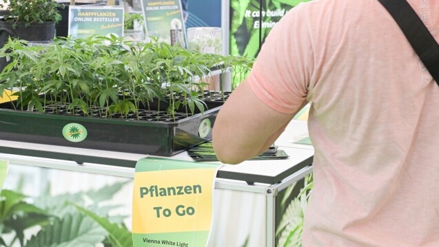 Verkaufsstand für Cannabis-Setzlinge auf der Mary Jane Berlin 2024. (Foto: IMAGO / Fotostand)