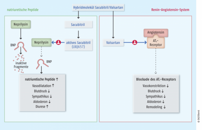 what is a neprilysin inhibitor