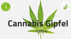 Im Juni wird es mit dem „Cannabis Gipfel online“ einen digitalen Fortbildungsmonat geben. (c / Foto: Screenshot)&nbsp;