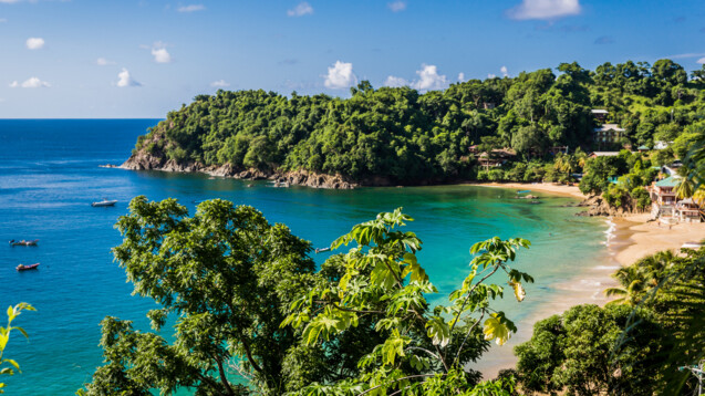 Das Oropouche-Virus wurde erstmals 1955 in Trinidad und Tobago identifiziert. (Foto: LMspencer/AdobeStock)&nbsp;&nbsp;