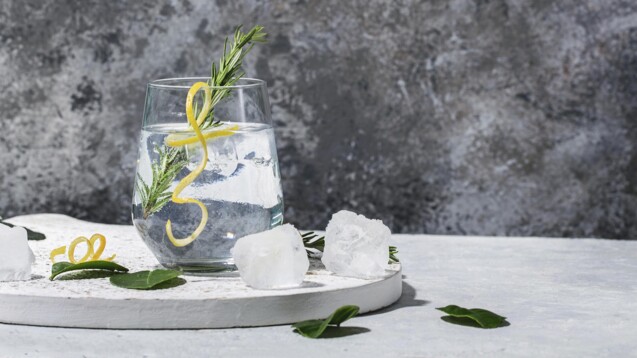 Gin Tonic ist ein beliebter Drink. Das enthaltene Chinin ist jedoch ein P-gp-Inhibitor und kann mit verschiedenen Arzneistoffen interagieren. (Foto: feirlight/AdobeStock)