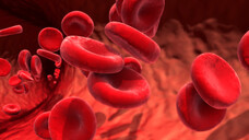 Welche Rolle spielen Blutgruppen bei schweren COVID-19-Verläufen? (m / Foto: Design Cells / stock.adobe.com)&nbsp;