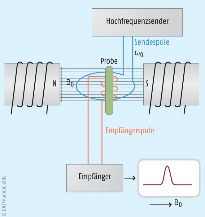 Physikalische Grundlagen der Magnetresonanztomografie